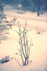 Similar image 7474521