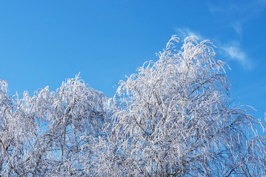 Similar image 7474719