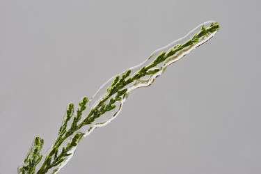 Similar image 7474733