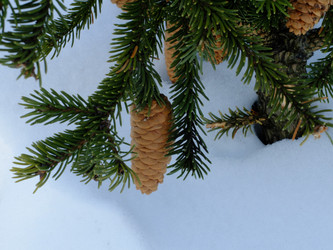 Similar image 7474785