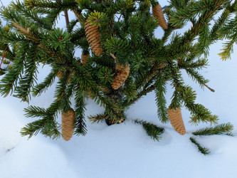 Similar image 7474786