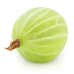 Similar image 7474788