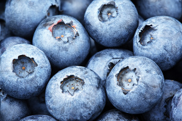 Similar image 7474810