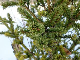 Similar image 7474826