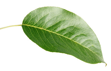 Similar image 7474847