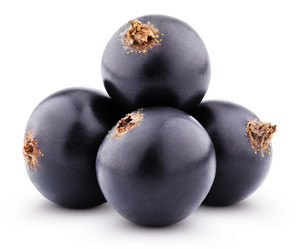 Similar image 7474853