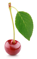 Similar image 7474859