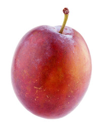 Similar image 7475051