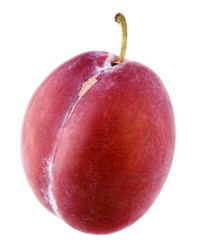 Similar image 7475052