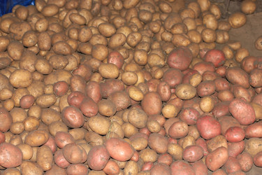 Similar image 7475057