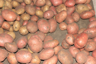 Similar image 7475060