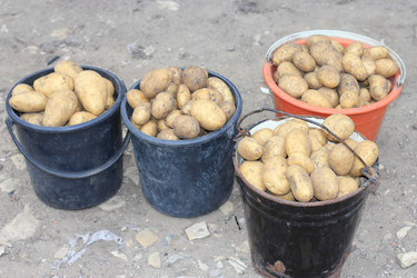 Similar image 7475063