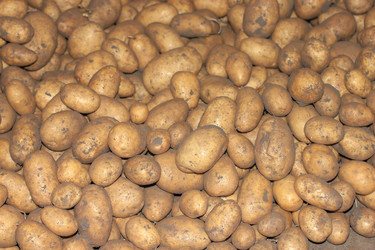 Similar image 7475065