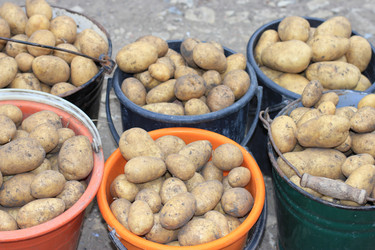 Similar image 7475066