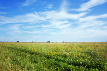 Similar image 7475095