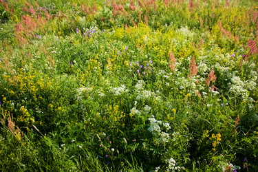 Similar image 7475097