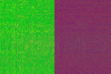 Similar image 7475103