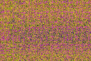 Similar image 7475107