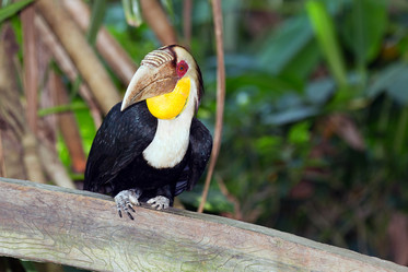 Similar image 7475108