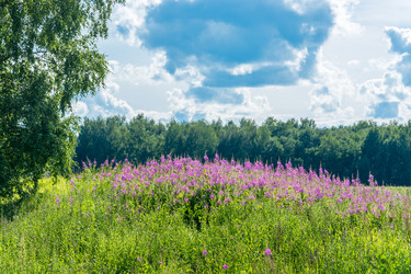 Similar image 7475168