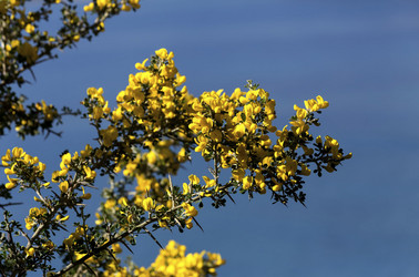 Similar image 7475185