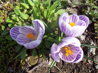 Similar image 7475194