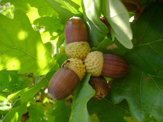 Similar image 7475195