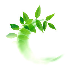 Similar image 7475199