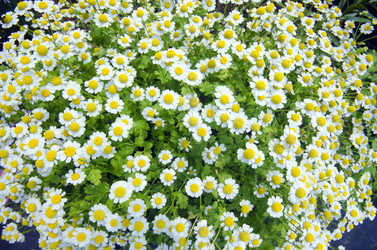 Similar image 7475225