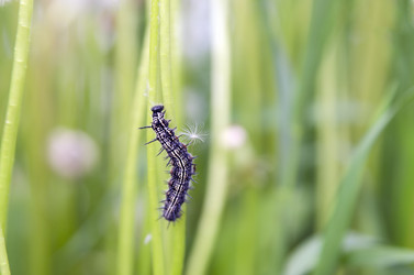 Similar image 7475234