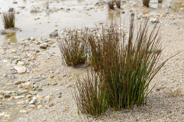 Similar image 7475277