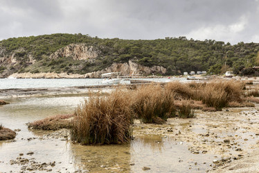 Similar image 7475278