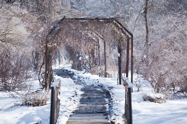 Similar image 7475336