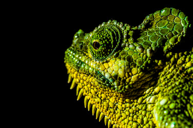 Similar image 7475413