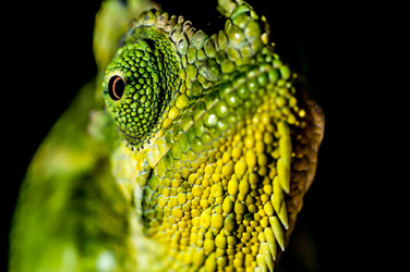 Similar image 7475421