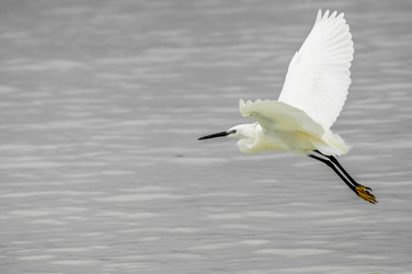 Similar image 7475422