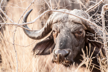 Similar image 7475424