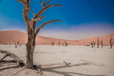 Similar image 7475436