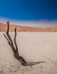 Similar image 7475437