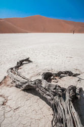 Similar image 7475439