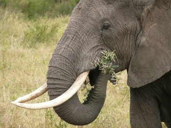 Similar image 7475445