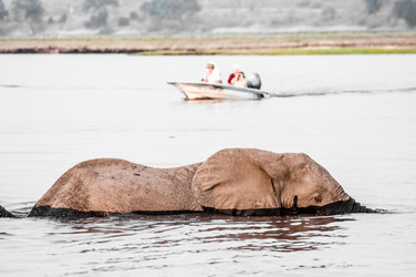 Similar image 7475459