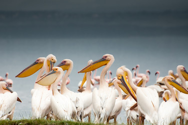 Similar image 7475460