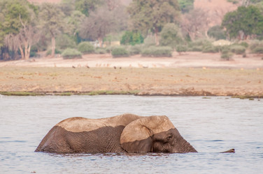 Similar image 7475462