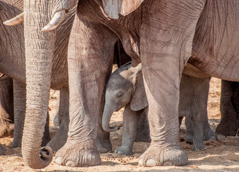 Similar image 7475463