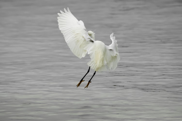 Similar image 7475464