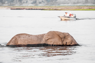 Similar image 7475465