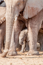 Similar image 7475467