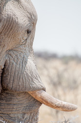 Similar image 7475468