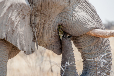 Similar image 7475470